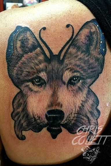 Cute Little Tattoos, Memorial Tattoo, Wolf Tattoo, Little Tattoos, Blue Butterfly, Tattoo Artists, Moose Art, Portfolio, Tattoos