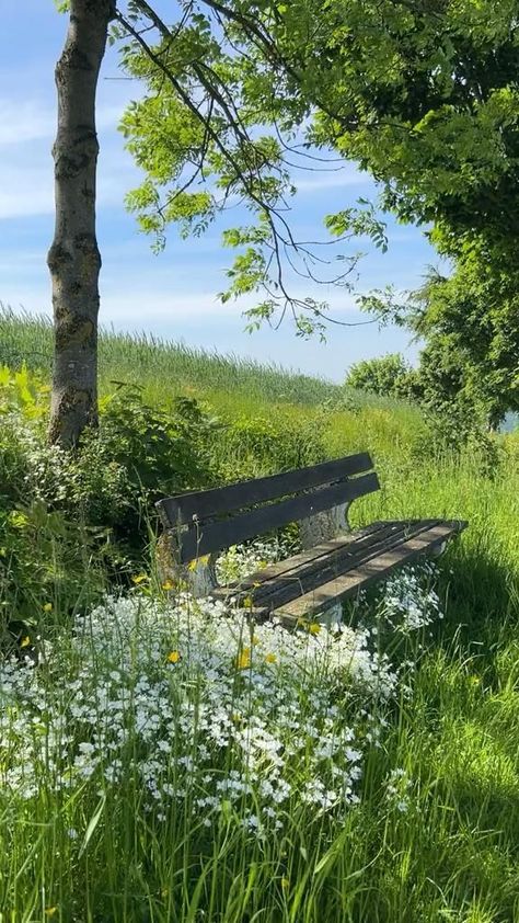 Spring Field Aesthetic, Summer Video Aesthetic, Sitting In Nature, Green Field, Pretty Landscapes, Nature Gif, Beautiful Scenery Nature, Alam Yang Indah, Beautiful Nature Pictures