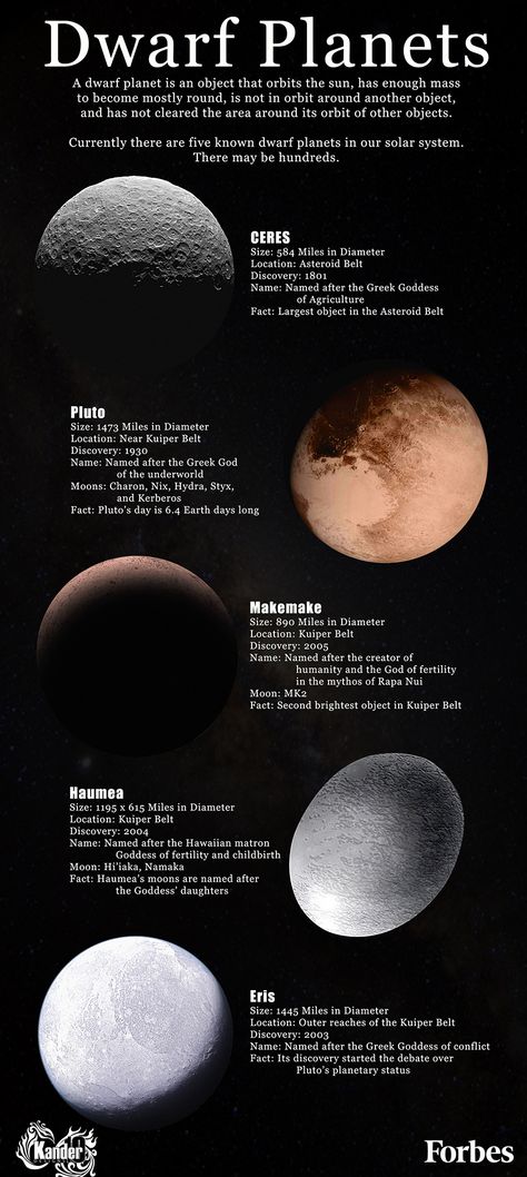 A dwarf planet is an object that orbits the sun, has enough mass to become mostly round, is not in orbit around another object, and has not cleared the area around its orbit of other objects. Currently there are five known dwarf planets in our solar system. There may be hundreds... Planets In The Solar System, Kuiper Belt, Astronomy Facts, Planets And Moons, Space Facts, Space Planets, The Solar System, Sistema Solar, Our Solar System