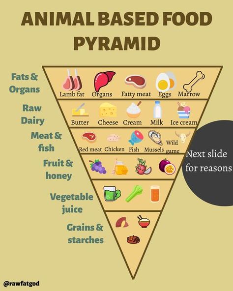 Primal Lifestyle, Carnivore Keto, Ancestral Nutrition, Sugar Diet, Animal Based, No Sugar Diet, Carnivore Diet, Food Pyramid, Eat Real Food