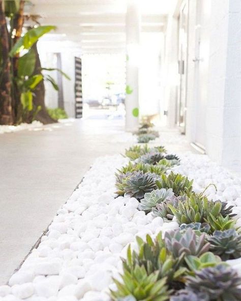 35 Modern Landscape Design Ideas For Minimalist Courtyard Garden | HomeMydesign Inexpensive Landscaping, White Rocks, Landscaping Around Trees, Modern Front Yard, Minimalist Garden, Desain Lanskap, Gravel Garden, Rock Garden Landscaping, Landscape Designs