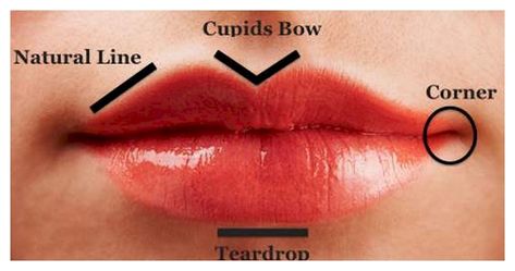 Bow Lips, Cupids Bow Lips, Heart Shaped Lips, Lip Types, Beauty Hacks Lips, Face Mapping, Health Disease, Health Clinic, Cupids Bow