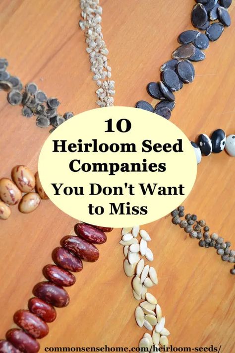 Heirloom Seeds Companies, Growing Grains, Seed Companies, Garden Layouts, Garden Problems, Vertical Farming, Plant Propagation, Heirloom Vegetables, Garden Veggies