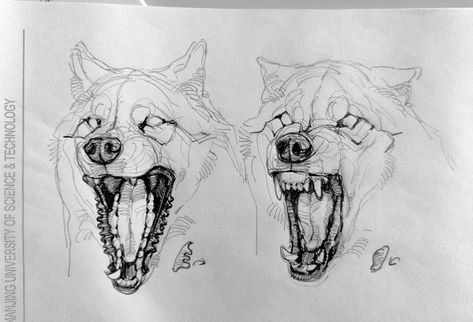 Wolf Sketch, Výtvarné Reference, Canine Art, Arte Sketchbook, Creature Concept Art, Animal Sketches, Arte Fantasy, 판타지 아트, Arte Horror