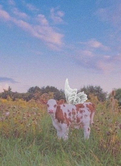 Fairy Animals Aesthetic, Cow With Wings, Cute Cow Wallpaper, Cottagecore Fairy Aesthetic, Cow In A Field, Cows In A Field, Fairy Animals, Cows Mooing, Sweet Cow