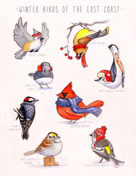 Winter Birds: Made me Smile Winter Birds, Cartoon Birds, Winter Illustration, Winter Bird, Christmas Bird, Bird Artwork, Daily Drawing, Backyard Birds, Bird Drawings