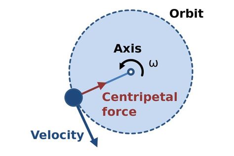 3rd Grade Science Experiments, Rotational Motion, Centripetal Force, Ap Physics, Body Diagram, Centrifugal Force, Physics Notes, Force And Motion, Science Notes