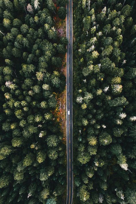 Good Year, Big Tree, Photo Vintage, To Infinity And Beyond, Great Smoky Mountains, Drone Photography, Pretty Places, Aerial View, Beautiful World