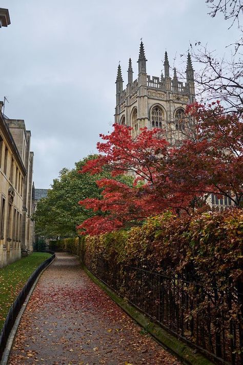 Oxford University Aesthetic, Fall Lights, University Aesthetic, Oxford College, Oxford City, England Aesthetic, Oxford England, College Aesthetic, Dream College