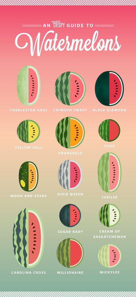 Here's the Difference Between Pink, Orange, and Yellow Watermelon Types Of Watermelon, Watermelon Varieties, Yellow Watermelon, Watermelon Art, Watermelon Carving, Watermelon Party, Watermelon Recipes, Food Info, Food Facts