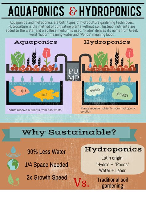 The Difference between Aquaponics and Hydroponics. Aquaponics is basically a form of hydroponics but by using fish waste as nutrients instead of hydroponic solution. Hydroponic Solution, Aquaponics Greenhouse, Backyard Aquaponics, Aquaponics Diy, Hydroponic Farming, Hydroponics Diy, Aquaponic Gardening, Hydroponic Growing, Kingston Jamaica