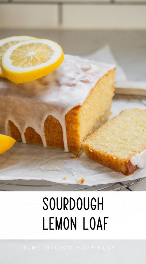 Enjoy a slice of this light and zesty Sourdough Lemon Loaf Ideal for sourdough discard #sourdoughdiscardrecipes #sourdoughbaking #sourdoughcake Iced Sweet Tea, Sourdough Lemon, Easy Sourdough Discard Recipes, Recipe Using Sourdough Starter, Lemon Loaf Cake, Sourdough Starter Recipes, Sourdough Starter Discard Recipe, Easy Sourdough, Sourdough Discard Recipes