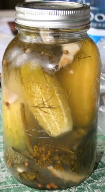 Polish Pickles, Russian Pickles, Russian Pickles Recipe, Russian Dill Pickle Recipe, Polish Pickles Recipe, Garlic Dill Pickles, Pickled Vegetables Recipe, Pickle Recipes Homemade, Sour Pickles