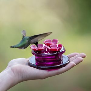 How to make homemade hummingbird nectar with two simple ingredients. Homemade Hummingbird Nectar, Hummingbird Nectar, Hollyhocks Flowers, Bees And Wasps, Hummingbird Feeder, Feeding Station, Tiny Bird, How To Attract Hummingbirds, Humming Bird Feeders