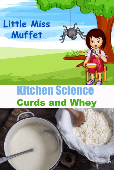 Nursery Rhymes Stem Activities, Nursery Rhymes Science Activities, Pat A Cake Nursery Rhyme Activities, Nursery Rhyme Science Activities, Nursery Rhyme Books Preschool, Early Years Science, Nursery Rhyme Activities, Nursery Rhymes Preschool Crafts, Preschool Steam