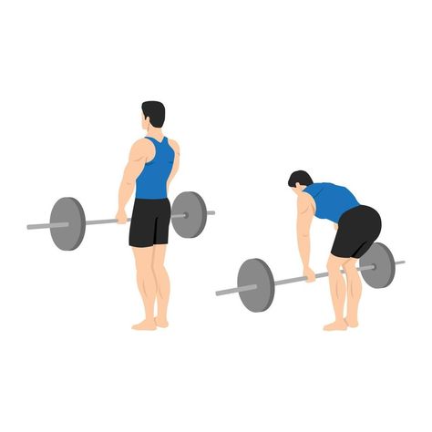 Man doing barbell stiff leg deadlift exercise. Flat vector illustration isolated on white background Dumbbell Illustration, Stiff Leg Deadlift, Drawing Legs, Single Leg Deadlift, Flat Vector Illustration, Flat Vector, The Man, White Background, Vector Illustration