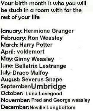 no-NO! NOT UMBRIDGE! NO NO NO NO NO NO NO! I AM LEGIT GOING TO KILL SOMETHING. Harry Potter Movie, Neville Longbottom, Fred And George Weasley, Bellatrix Lestrange, Potter Facts, George Weasley, Harry Potter Facts, Ginny Weasley, Harry Potter Jokes