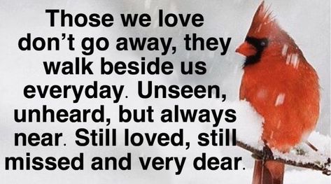 They Walk Beside Us Everyday, Inspirational Quotes About Love, You Gave Up, Love Can, Short Quotes, Always Remember, Cute Quotes, Daily Quotes, God Is