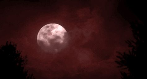 Vampire Castle, Creepy Core, Sky Gif, Ghost Videos, Red Icons:), Banner Gif, Dark Pictures, Vampire Knight, Gothic Horror