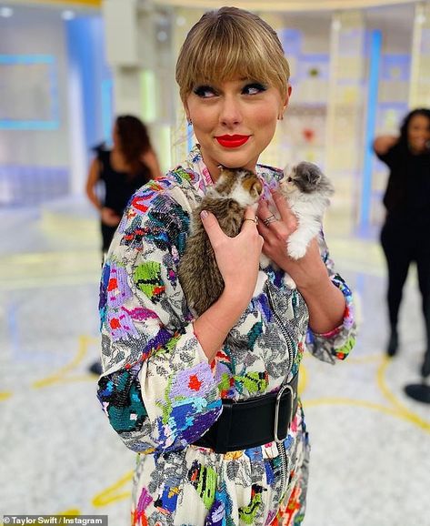 Taylor Swift Cat, Taylor Swift Images, Teaching Quotes, Taylor Swift Web, Kitty Meow, Swift Photo, Taylor Swift Wallpaper, Live Taylor, Taylor Swift 13