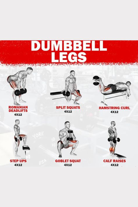 If you only have a pair of dumbbells you can do this workout and can build muscles. Try this workout if you only have a pair of dumbbells. Leg Bicep Workout, Dumbbell Calf Raises, Legs Dumbbell Workout At Home, Dumbles Excercise, Dumbell Workout Leg, Dumbbells Workout At Home, Ppl Dumbbell Workout, Excersise With Dumble, Dumbell Workout Legs At Home