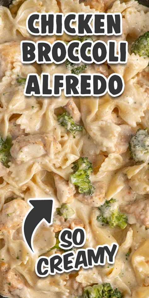 This easy Chicken Broccoli Alfredo recipe makes simple ingredients into a satisfying pasta dish! Tender chicken gets mixed with nutritious chicken broccoli pasta, then tossed in a creamy homemade Alfredo sauce for a well-rounded dinner everyone will enjoy! Homemade Chicken Broccoli Alfredo, Bow Tie Chicken Alfredo, Chicken Broccoli Ziti Alfredo, Chicken Alfredo Recipe With Broccoli, Chicken And Broccoli Alfredo Recipes, Chicken Alfredo Pasta With Broccoli, Broccoli And Chicken Recipes, Chicken Brocolli Alfredo, Chicken Alfredo Pasta Recipes