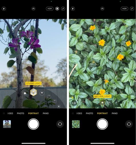 iPhone flower photography tips: Capture the best with iPhone 12 Pro models - iGeeksBlog Iphone 12 Pro Photography Tips, Iphone 12 Pro Camera Tips, Iphone 13 Pro Max Photography Tips, Iphone 12 Photography Tips, Iphone 12 Photography, Cold Aesthetic, Iphone Camera Tricks, Macro Photography Tips, Photography Tips And Tricks