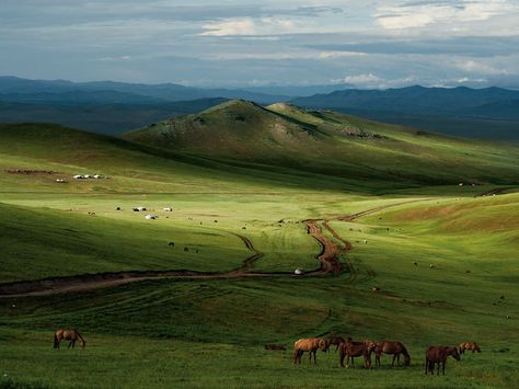 I want to work for NatGeo. That or be paid by someone else to travel and take in amazing sceneries like this one in Mongolia. Realist Painting, Painting Scenery, National Geographic Photos, Landscape Wallpaper, Mongolia, Oh The Places Youll Go, Nature Wallpaper, National Geographic, Beautiful World