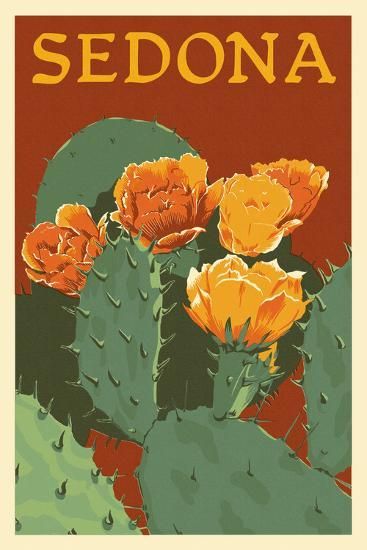 Pear Cactus, Prickly Pear Cactus, Cactus Art, Cactus Plant, Stock Art, Sedona Arizona, Scottsdale Arizona, Prickly Pear, Art Ink