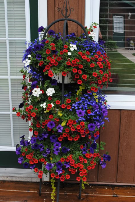 2015 baskets...red calibrachoa, blue lobelia, white verbena and creeping jenny Blue Flowers Garden, Basket Flower Arrangements, Small Yard Landscaping, Container Garden Design, Container Gardening Flowers, Hanging Flower Baskets, White And Blue Flowers, Flower Garden Design, Garden Containers