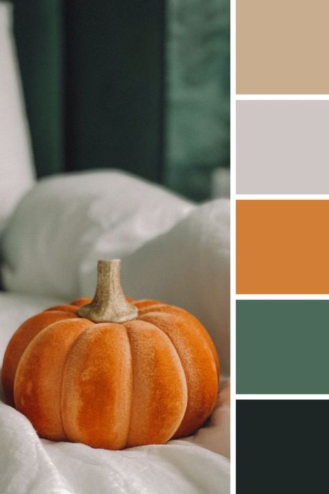 Autumn Color Combination | Beatiful Colors Scheme | Pumpkin Green Palette Ideas Pumpkin Color Palette, Autmn Colors, Apothecary Room, Plum Color Scheme, Fall Interior Design, Rustic Color Palettes, Orange Color Combinations, Fall Color Schemes, Website Color Palette