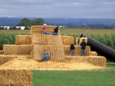 straw bale slide! Hay Bale Playground, Pumpkin Patch Business, Agritourism Farms, Farm Tourism, Pumpkin Patch Farm, Farm Day, Farm Fun, Straw Bale, Harvest Party