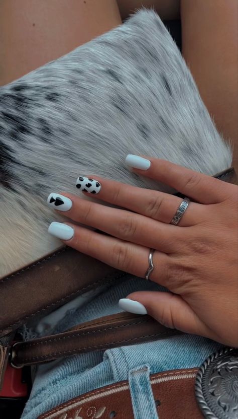 White Cow Print Nails, Simple Nail Designs Cow Print, Black Punchy Nails, Black And White Cow Print Nails, Black And White Cow Print Acrylic Nails, Turquoise Nails Western Cow Print, Spade Nails, Rodeo Nails, Cowboy Nails