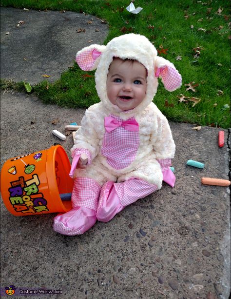 Cutest Baby Lamb Costume | Best Halloween Costumes Baby Lamb Costume, Lamb Costume, Halloween Costumes 2016, Costume Works, Best Halloween Costumes, Baby Lamb, Halloween Costume Contest, Halloween 2016, Costume Contest