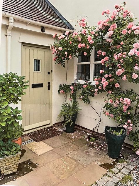 Roses On House, Small Rose Garden Ideas, Italian Cottage, California Architecture, Pretty Cottage, Rose Trellis, Cottage Garden Design, Pink Garden, Deck Garden