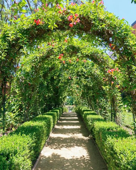 If you’re looking to extend those summer vibes, Westlake Village Inn is the perfect escape! ☀️🍹🌴 From the stunning poolside views to the lush gardens, this spot feels like a never-ending summer dream. #EndlessSummer #WestlakeVillageInn #StaycationGoals #evolusenpartner Village Inn, Westlake Village, Lush Garden, Summer Dream, Endless Summer, Summer Vibes, Lush, Quick Saves