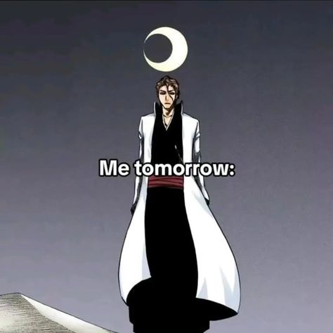 True I'm Aizen frrrr 🐐 Anime Memes, Bleach, Memes, Anime, Quick Saves