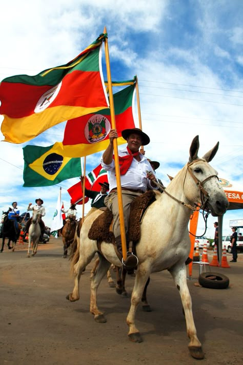 Tradição de um povo - Rio Grande do Sul Rio Grande Do Sul Aesthetic, Brazil Life, Brazil People, Wallpaper Collage, Rio Grande, Brazil, Camel, Animals, Instagram