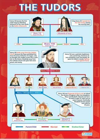 Primary History, American History Timeline, Royal Family Trees, History Posters, The Tudors, Uk History, History Facts Interesting, Tudor History, History Classroom