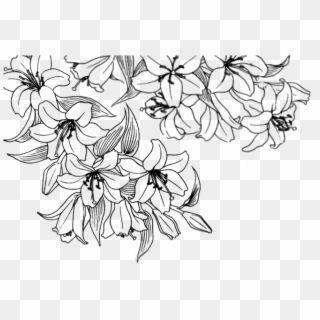 Transparent Flowers Overlays, Edit Textures, Flower Drawing Tumblr, Blue Flower Png, Aesthetic Editor, Flower Overlay, Transparent Flowers, Editing Ideas, Flower Icons