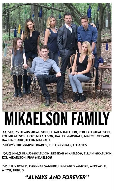 The Vampire Diaries Universe, Vampire Diaries Universe, Movie Character Posters, Mikaelson Family, Marvel Wall Art, The Vampire Diaries Characters, Vampire Diaries Poster, The Originals Tv, Romantic Book Quotes