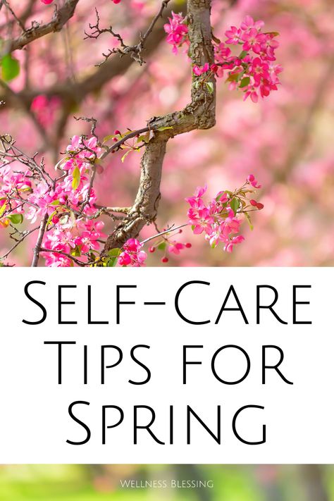 Self-Care Tips for Spring Wellness Eco Skincare, Wellness Vibes, Holy Basil Tea, Spring Challenge, Lemon Balm Tea, Cultures Around The World, Positive Living, Body Is A Temple, Spring Ideas