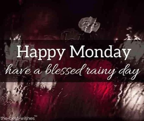 Happy Rainy Monday Mornings, Rainy Monday Morning Quotes, Rainy Monday Quotes, Rainy Day Good Morning Images, Happy Rainy Monday, Rainy Day Good Morning, Rainy Morning Quotes, Rainy Monday Morning, Happy Friday Humour