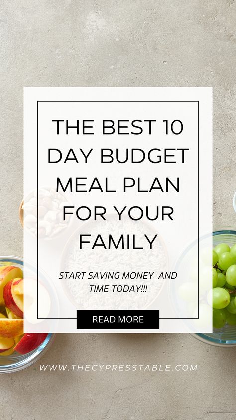 Do you need a meal plan right now? This is exactly what you've been looking for! Find out how to feed your family using ground beef and chicken for 10 days on a super low spend budget! You can do it! 10 Day Meal Plan, Budget Meal Planning Families, Budget Meal Planning, Best Chicken, Start Saving Money, Busy Family, Menu Planning, Ground Beef Recipes, Meals For The Week