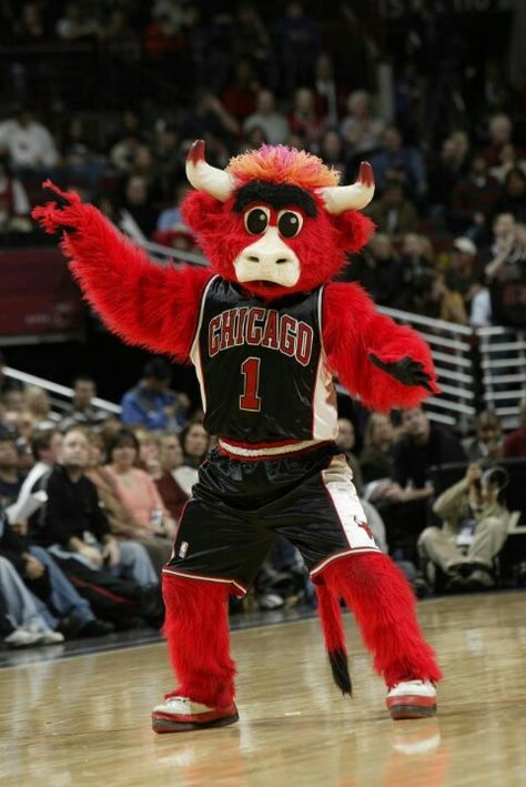 Sports Bull Mascot, Chigago Bulls, Benny The Bull, Nba Bulls, Nba Basket, Sports Wear Women, Team Mascots, Sport Outfit Woman, Basketball Game