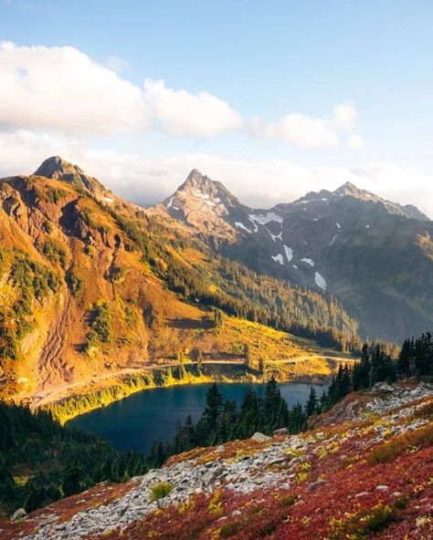 Amazing Fall Hike in Washington. (And summer too) If you like mountain views for miles and a somewhat short and moderate hike then add Winchester Mountain to your list. This hike offers some of the most incredible views in the Mount Baker Snoqualmie National Forest. At the top is a fire lookout sitting up there waiting for you to check it out. 📍Winchester Mountain Trail 🥾 3.5 miles ⛰️1,325 ft of elevation gain This is a great place for a day hike or an overnight. The sunrises + suns... Fall Hike, Fire Lookout, Mount Baker, Washington Hikes, Mountain Trail, Fall Hiking, Mountain Trails, Day Hike, Sit Up