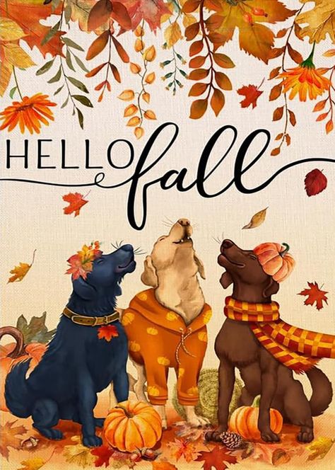 Amazon.com: 5D Fall Dogs Diamond Painting Kits for Adults Beginners,Autumn Leaves Diamond Art Kit,DIY Full Round Drill Diamond Dot Gem Art Kits for Adults,Home Wall Decor 11.8x15.7 Inch : Arts, Crafts & Sewing Fall Dogs, Turkey Dogs, House Flag Pole, Autumn Holiday, Dog Beer, Pumpkin Garden, Fall Garden Flag, Jigsaw Puzzles For Kids, Dog Garden