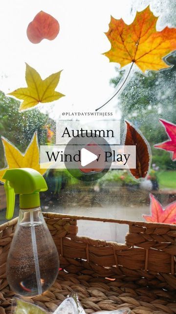 Jess Townsend on Instagram: "AUTUMN WINDOW PLAY // 🍂💦
Who remembers when I shared this a few years ago?! Well, here we are again! We absolutely LOVE doing this activity and do it every autumn. (Lily loves it, and she's 7). 

All you need is...
. Leaves
. Laminating Pouches and Laminator 
. Spray Bottle
. Scissors

Next time you go on an autumn walk, collect a bag of leaves. When you get home, laminate them and cut them out. Grab your spray bottle, spray the windows, and stick your leaves on. It is a great activity that creates a beautiful window display but is also great for fine motor skills, colour recognition, leaf recognition, sizes, numbers, and more! 

Let me know in the comments if you are going to give this activity a try and tag a friend who would love this activity. You can sav Autumn Window, Autumn Walk, Bottle Spray, Instagram Autumn, Beautiful Windows, Tag A Friend, Window Display, Autumn Day, Fine Motor Skills