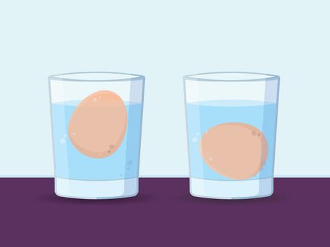 How to Tell if Eggs Are Good or Bad | Nellie's Blog How To Tell Eggs Are Still Good, How To Tell If An Egg Is Bad, How Do You Know If Eggs Are Good Or Bad, How To See If Eggs Are Still Good, Egg Good Or Bad, Eggs Good Or Bad Test, How To Check Eggs Are Good, Check Eggs In Water, How To Know If An Egg Is Still Good