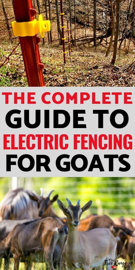 Goat Electric Fence, Electric Fence For Goats, Electric Fence Ideas, Goat Fence Ideas, Fence For Goats, Diy Electric Fence, Goat Tractor, Electric Fence For Cattle, Goats For Beginners